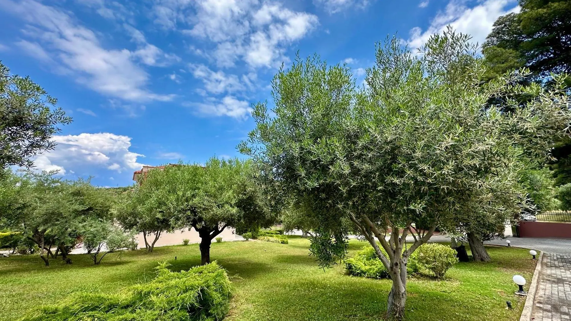 Agrili Apartments & Rooms Ελιά Ξενοδοχείο με διαμερίσματα